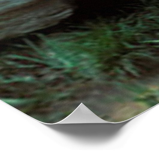 Zwart Beer Poster (Hoek)