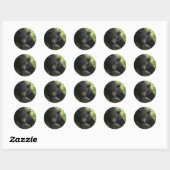 zwart beer ronde sticker (Vel)