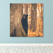Zwart Beer, vast door een boom Canvas Afdruk (Insitu (Houten vloer))