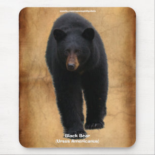 Zwart Beer Wildlife Supporter Mousepad Muismat