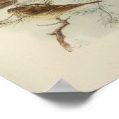 zwart Bird Black White Print (Hoek)