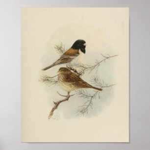 zwart Bird Black White Print
