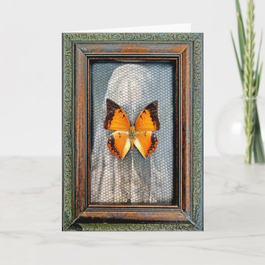 Zwart-Bordered Charaxes Butterfly Wenskaart V1 Kaart (Voorkant)