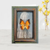 Zwart-Bordered Charaxes Butterfly Wenskaart V1 Kaart (Gele Bloem)