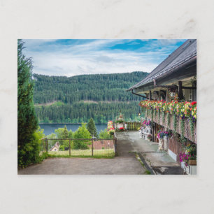 Zwart bos, Duitsland Briefkaart