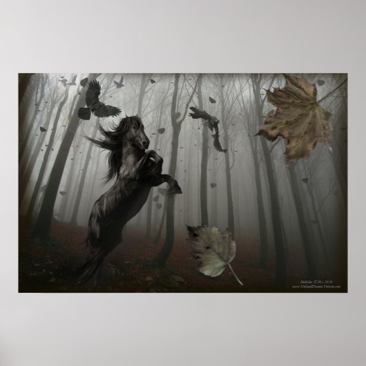 Zwart bos poster (Voorkant)