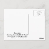 Zwart Briefkaart (Achterkant)