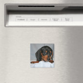 Zwart/Bruin Dachshund Pup Magneet (Insitu (Vaatwasser))
