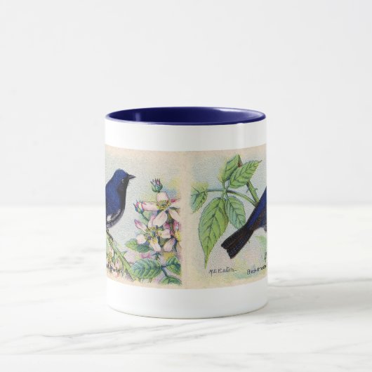 Zwart-bruin Mok (Midden)