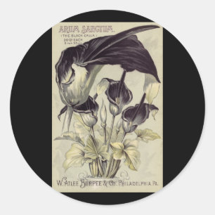 zwart Calla Lilies Ronde Sticker