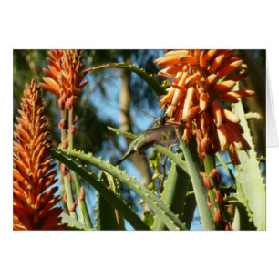 Zwart-Chinese Hummingbird in vlucht