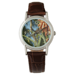 Zwart-Chinese Hummingbird in vlucht Horloge