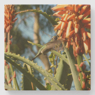 Zwart-Chinese Hummingbird in vlucht Stenen Onderzetter