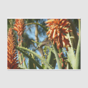 Zwart-Chinese Hummingbird in vlucht Tissuepapier