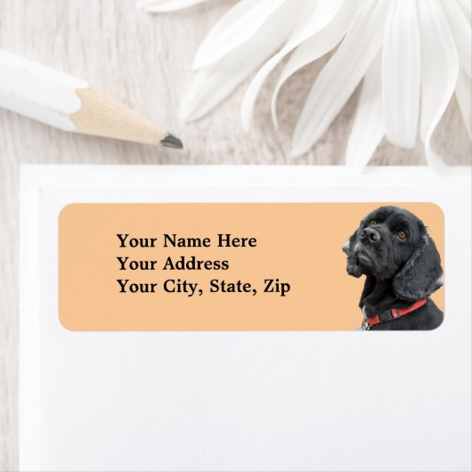 Zwart Cocker Spaniel Label (Insitu)