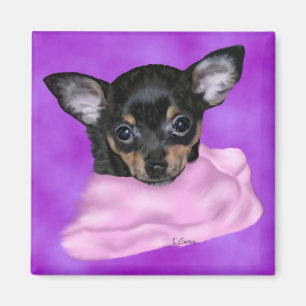 Zwart en bruin Chihuahua Puppy Magneet