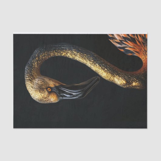 Zwart en Goud Flamingo7 Tissuepapier (Voorkant)