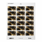 Zwart en Goud Marmeren Cosmetica Dropper Fles Etiket (Full Sheet)