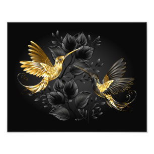 Zwart en Gouden Kolibrie Foto Afdruk