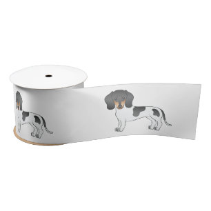 Zwart En Lichtbruin Bont Gladharige Dachshond Hond Lint