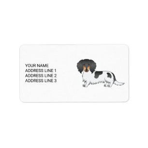 Zwart En Lichtbruin Bont Langharige Dachshund & Te Etiket