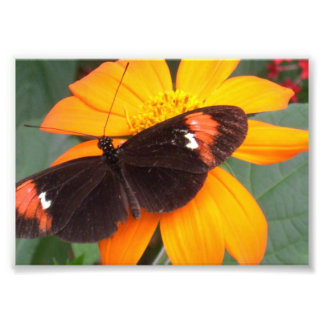 zwart en oranje foto afdruk