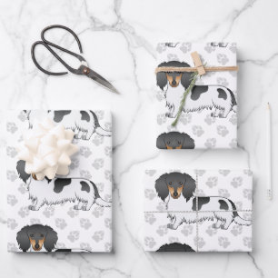 Zwart En Roestkleurige Bont Langharige Dachshond & Inpakpapier Vel