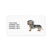 Zwart En Roestkleurige Dapple Kortharige Dachshund
