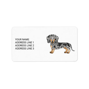 Zwart En Roestkleurige Dapple Kortharige Dachshund Etiket