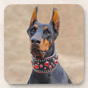 Zwart en Tan Doberman Pinscher in een juwelen kraa Bier Onderzetter