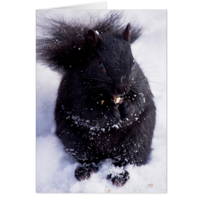 Zwart en wit (Voorkant)