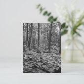 Zwart en wit bos briefkaart (Staand voorkant)