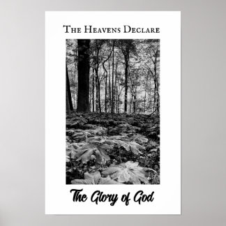 Zwart en Wit Bos Glorie van God Poster