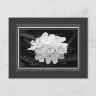 Zwart en wit briefkaart