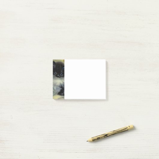  zwart en wit, keukenverf post-it® notes (Op bureau)