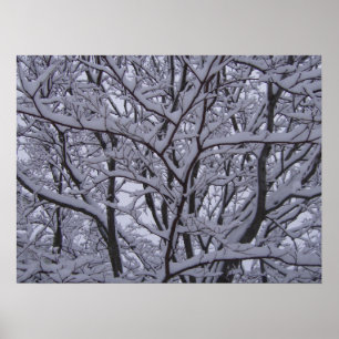 Zwart en wit poster