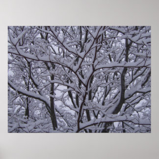 Zwart en wit poster