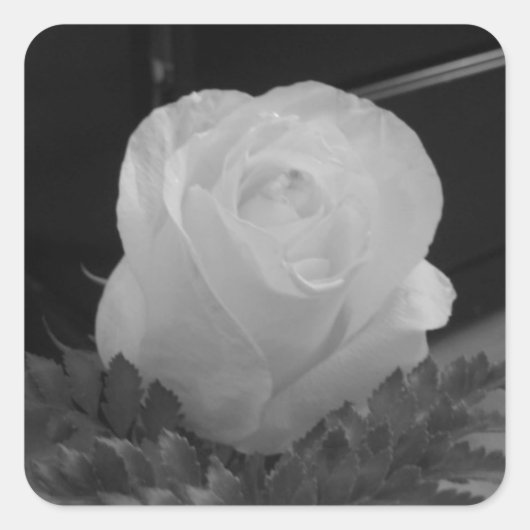 Zwart en wit vierkante sticker (Voorkant)