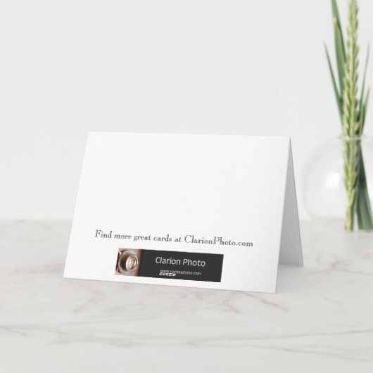 Zwart-eyed Susan - dank u! Bedankkaart (Achterkant)