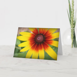Zwart-eyed Susan - dank u! Bedankkaart