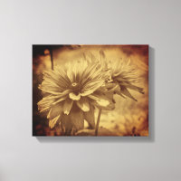 Zwart Eyed Susan Flowers Sepia Verouderd 
