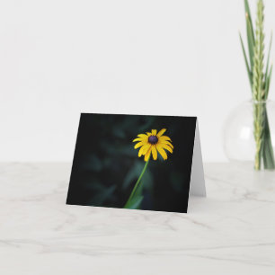 Zwart-Eyed Susan Note Card Kaart