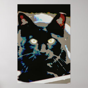 Zwart ferroposter poster