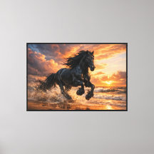 Zwart Friese Paard bij Zonsondergang, Krachtige St