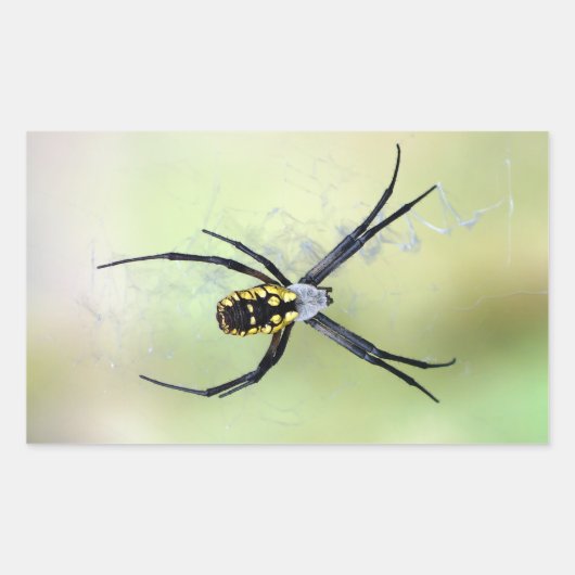 Zwart & Geel Argiope Tuin Spin Sticker (Voorkant)