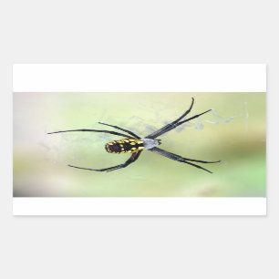 Zwart & Geel Argiope Tuin Spin Sticker
