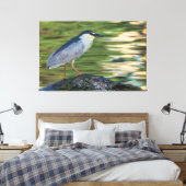 Zwart gekroond Night Heron Portret Canvas Afdruk (Insitu (Slaapkamer))