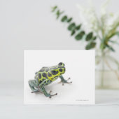 Zwart-gepotte groene giftige kunstkikker (Ranitome Briefkaart (Staand voorkant)