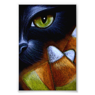 ZWART HALLOWEEN KATJE met POMPOENPITTEN 10 X 15 CM Foto Afdruk
