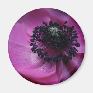 Zwart hart Anemone Round Magnet Magneet